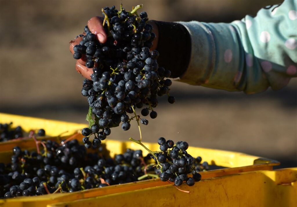 'Jump Into Malbec' and Argentina's signature wines in tasting dinners at Balvanera