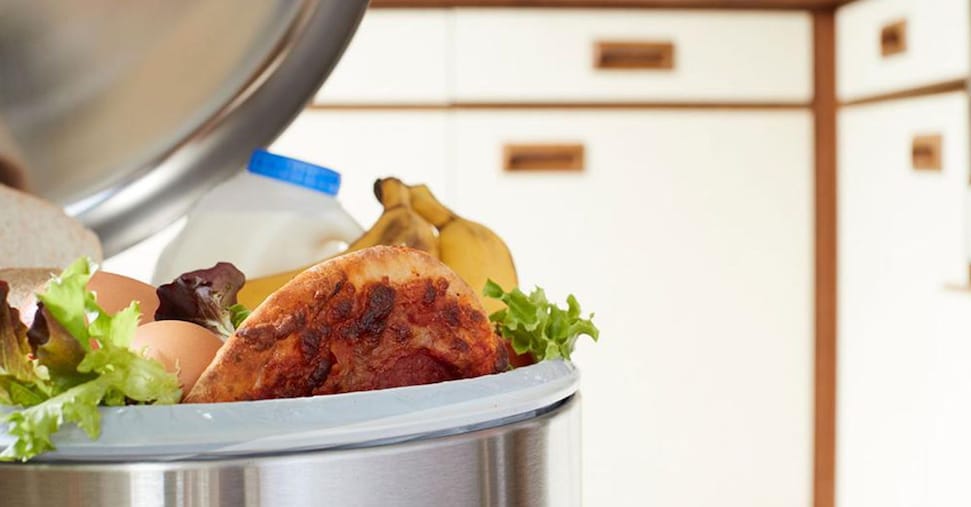 Italy’s wasted food could feed three million people vai alla homepage de Il Sole 24 Ore