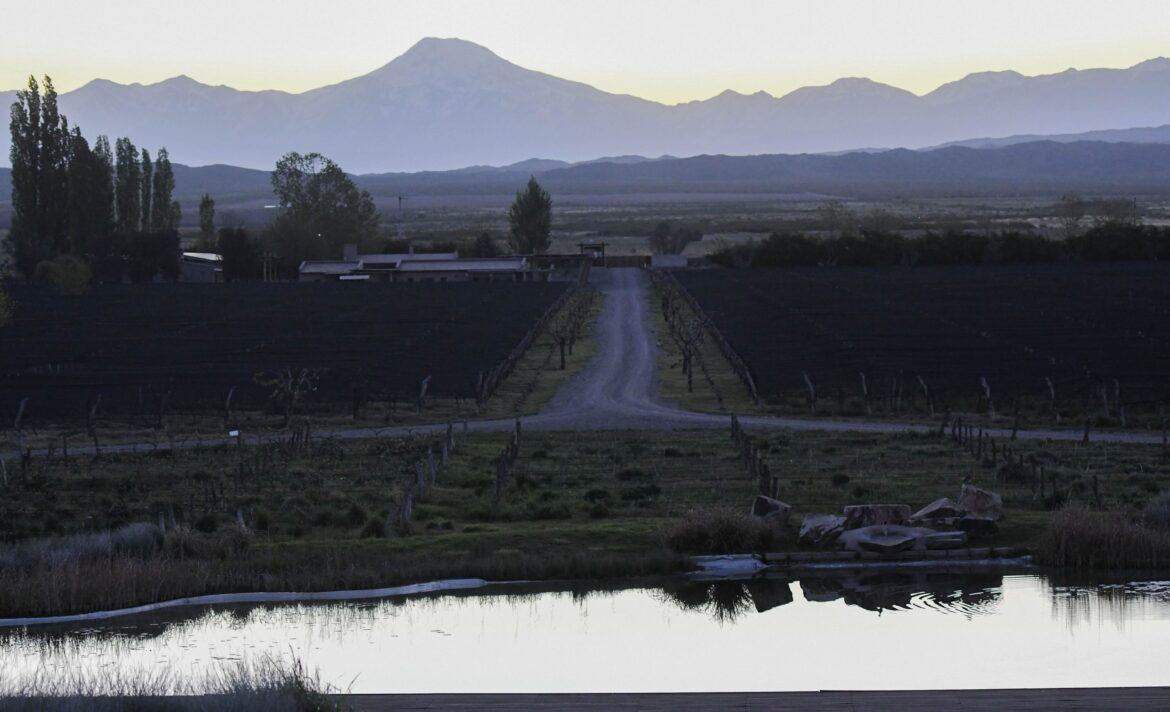 Global buyers rethink Mendoza at Vinexpo Explorer 2025