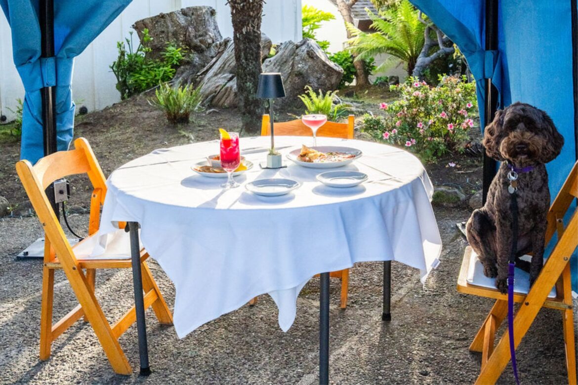 Little River Inn Restaurant welcomes dogs for dining with new cabanas • The Mendocino Voice Little River Inn Restaurant welcomes dogs for dining with new cabanas • The Mendocino Voice