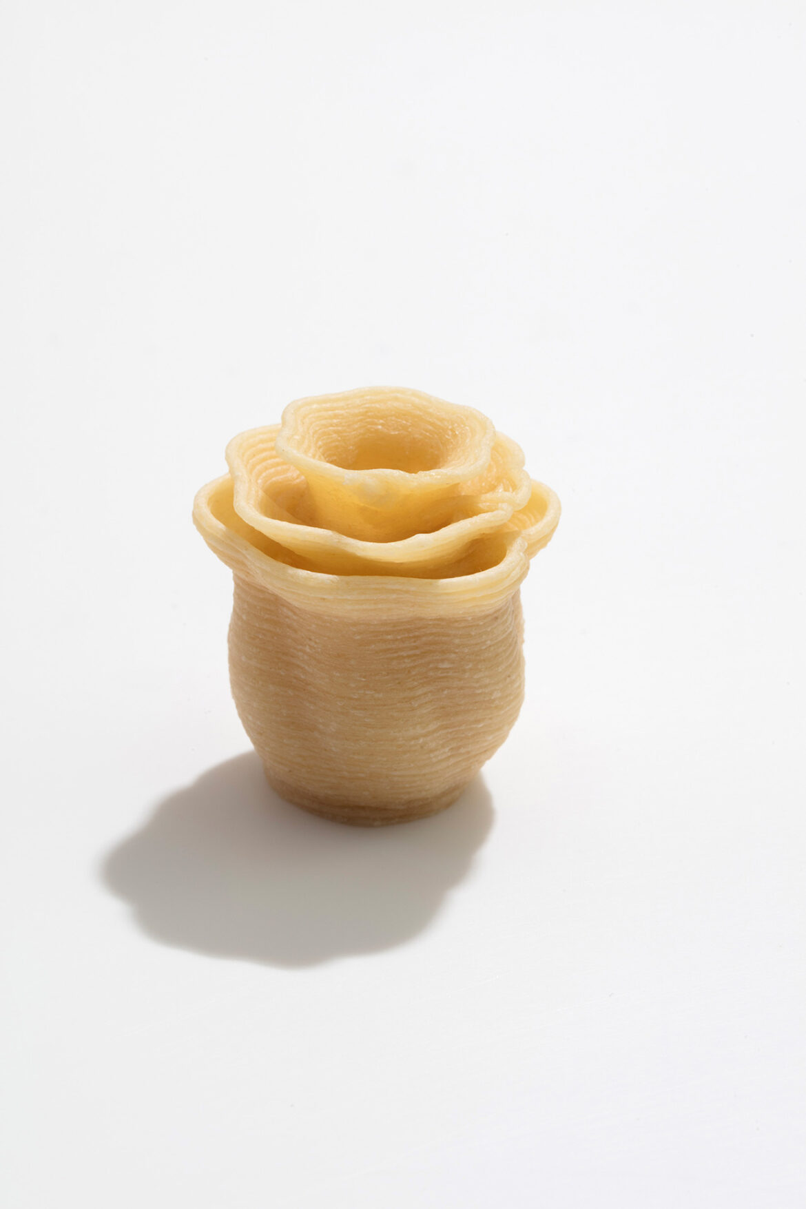 Artisa: The shape of food to come