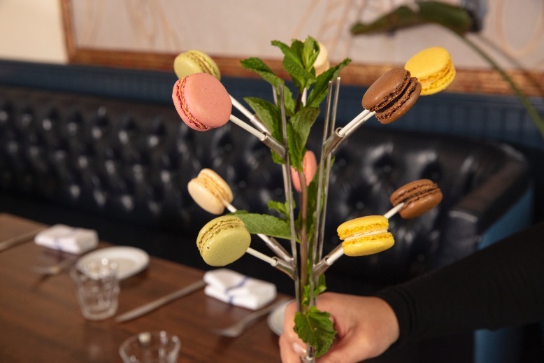 Colorful macarons artfully arranged in a tree-like structure.