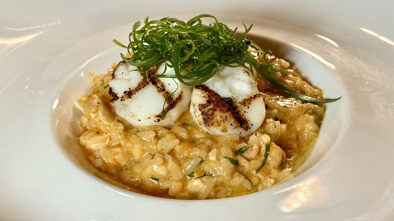 scallops and risotto