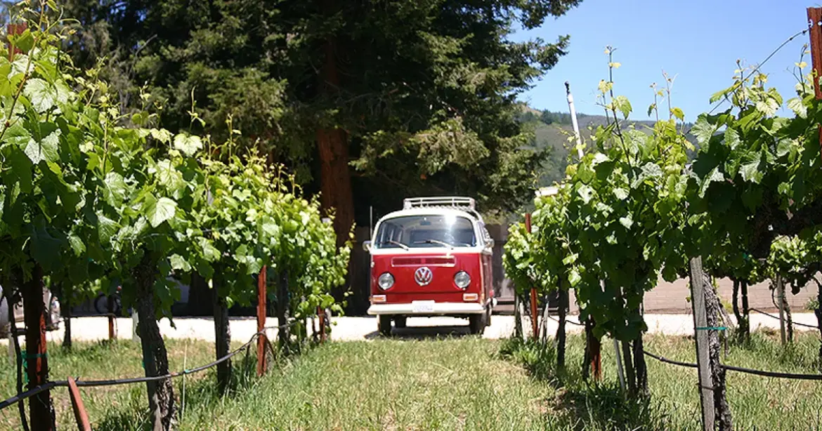 Surprising Ways to Tour Wine Country