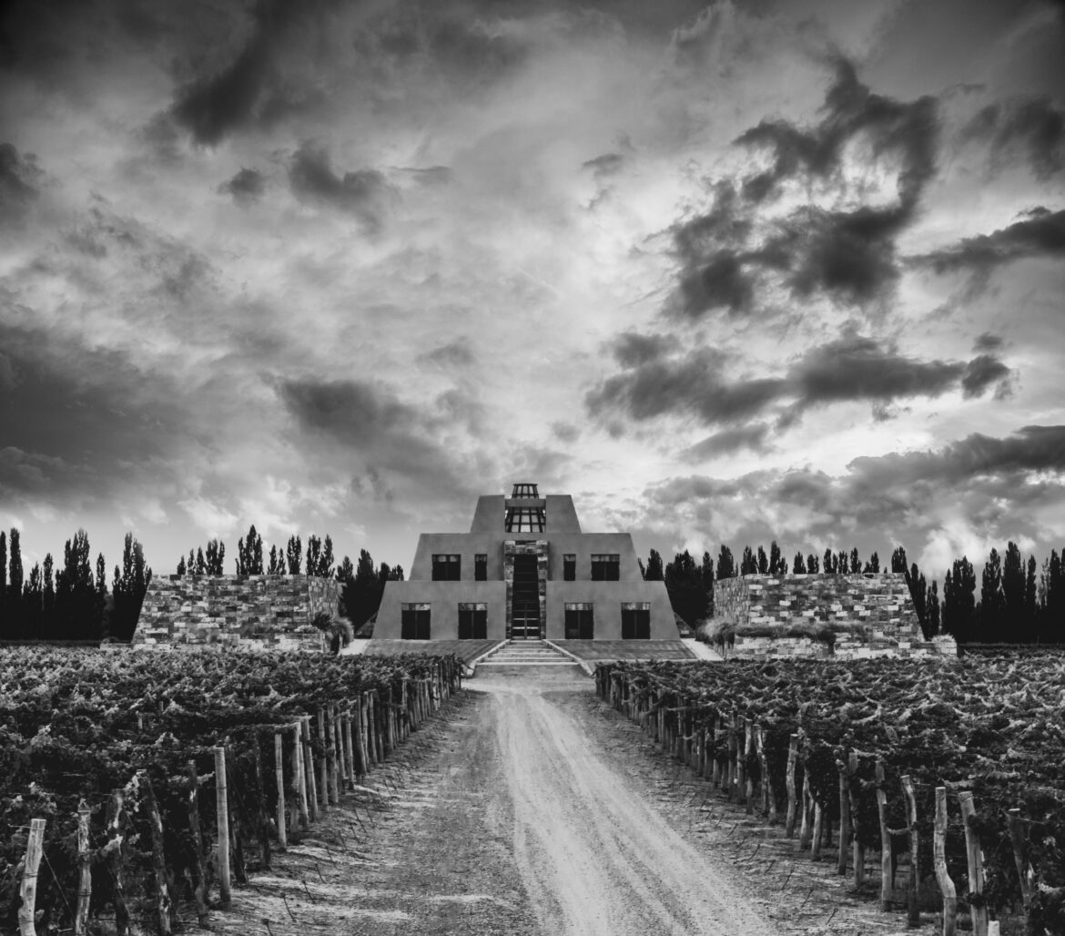 Catena Zapata names new UK importer