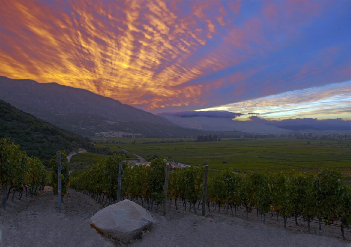 Chile’s hidden treasure in Colchagua Valley Chile's hidden treasure in Colchagua Valley