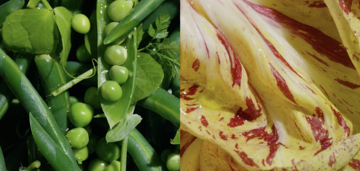 Cobram Estate launches new ‘The Fresher The Better’ campaign via ATime&Place and Half Dome – Campaign Brief