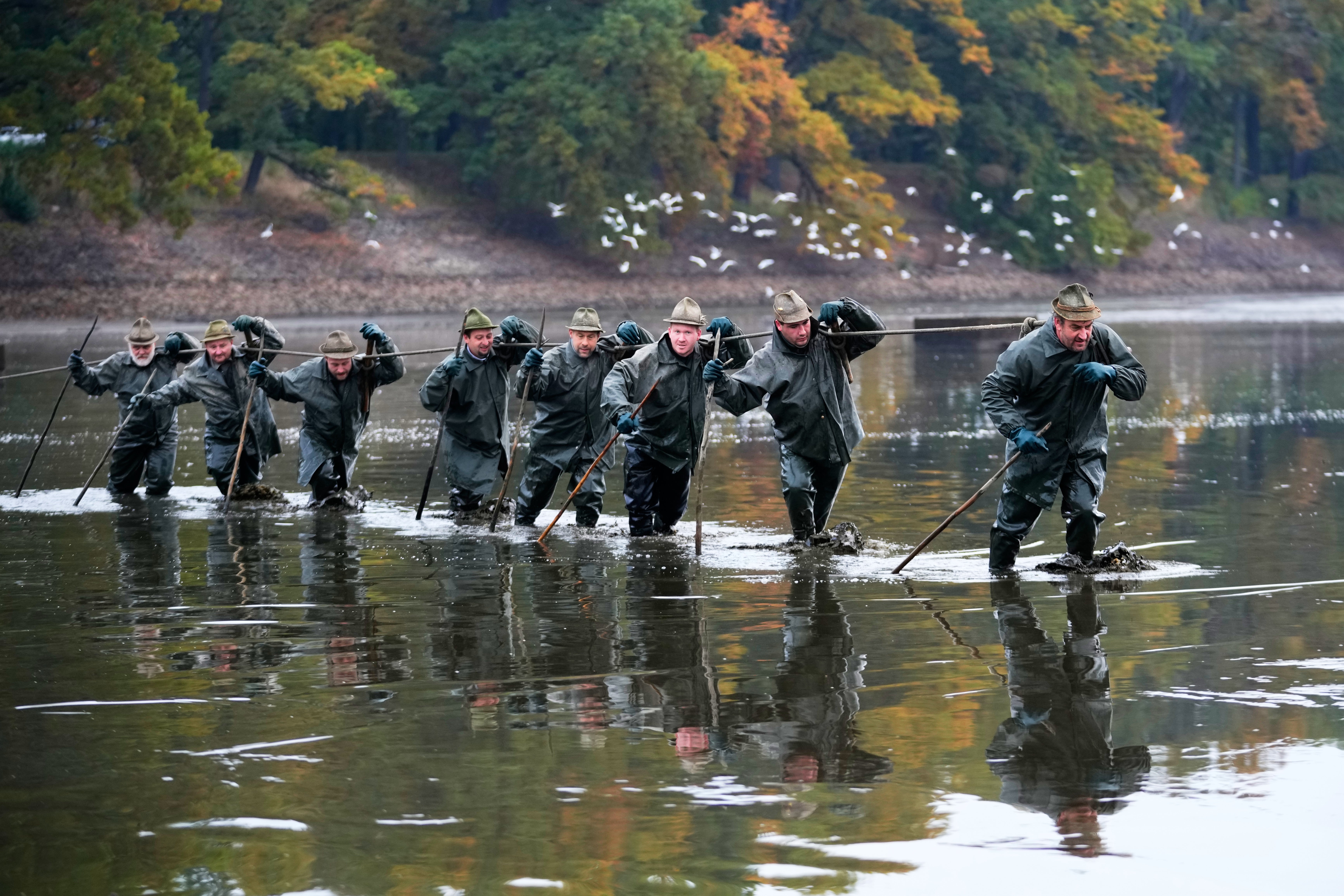 The fishermen were acting out a centuries-old tradition as they hauled their catch from the Rozmberk Pond — mostly carp that will end up on the tables of families across the country at Christmas