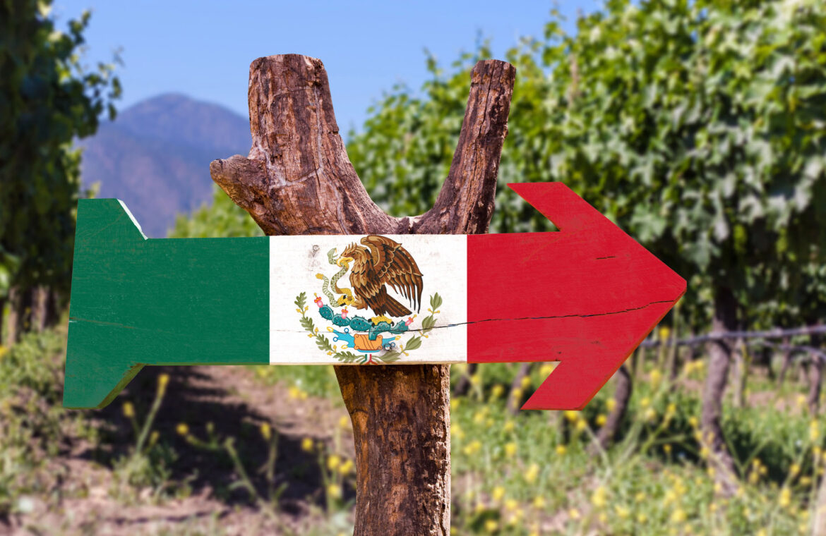 Taking a Closer Look at Mexican Wine : Vinography