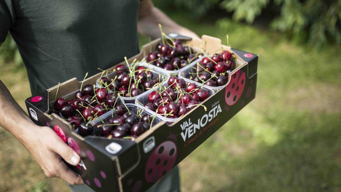 With prices rising, Italian families are buying less fruit, impacting their health and eating habits