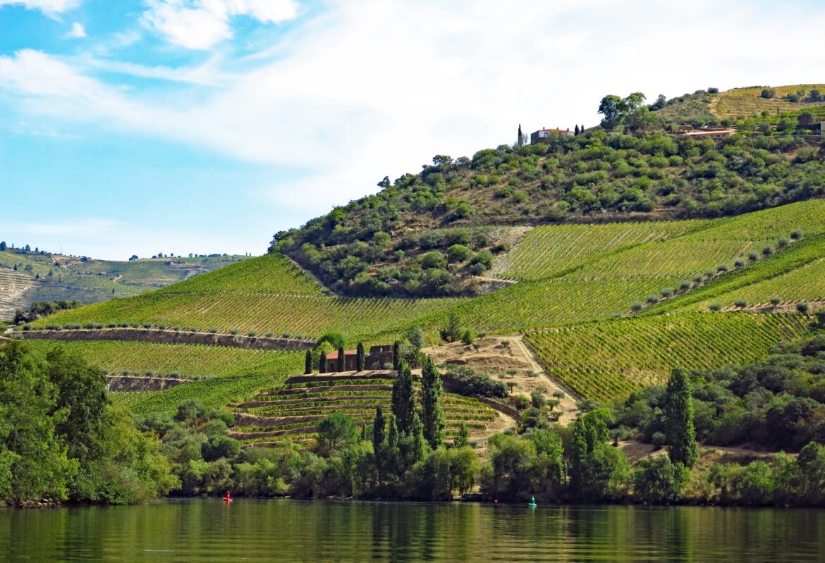 Lost In Translation: Your Cheat Sheet To Portuguese Wine