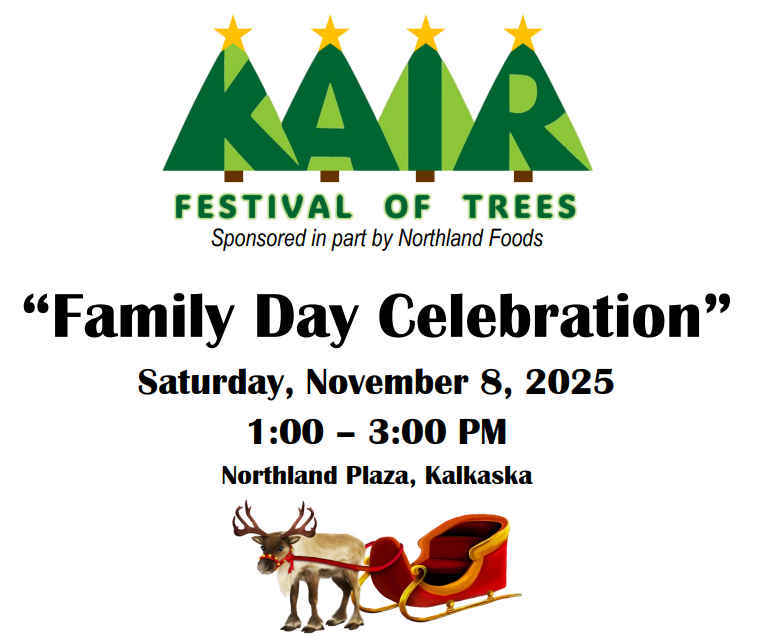 Kalkaska Festival of Trees returns to support local food pantry – 9&10 News Kalkaska Festival of Trees returns to support local food pantry – 9&10 News