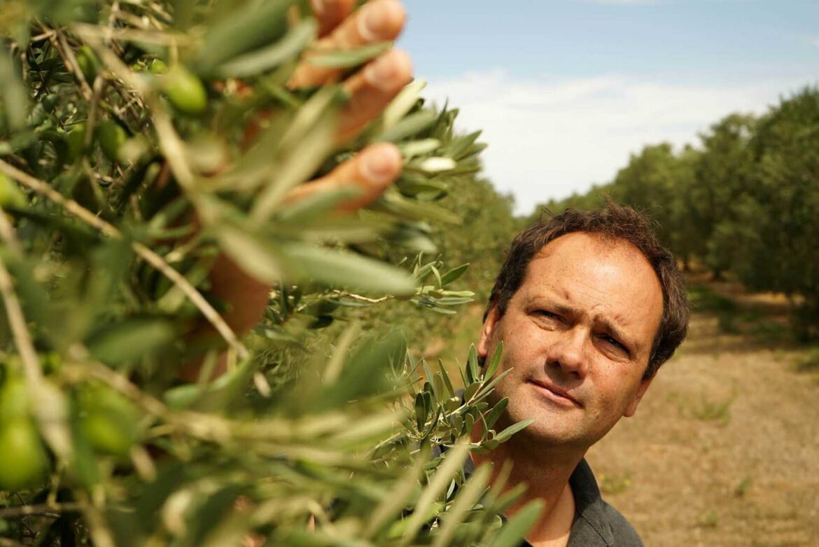 French Trade Group Rebranded – Olive Oil Times French Trade Group Rebranded - Olive Oil Times