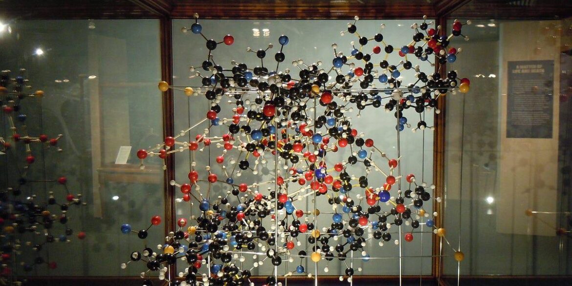 The B12 Myth — 6 Truths About the World’s Most Misunderstood Vitamin