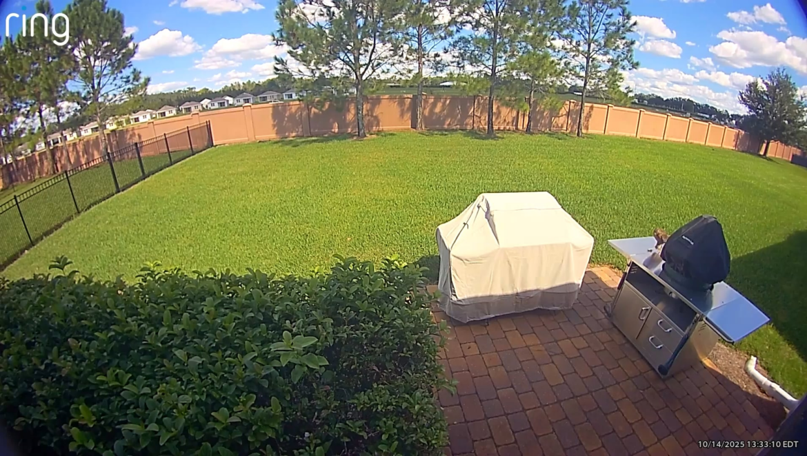 Look who is checking out my Egg!