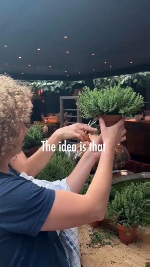 Soup in a plant pot.