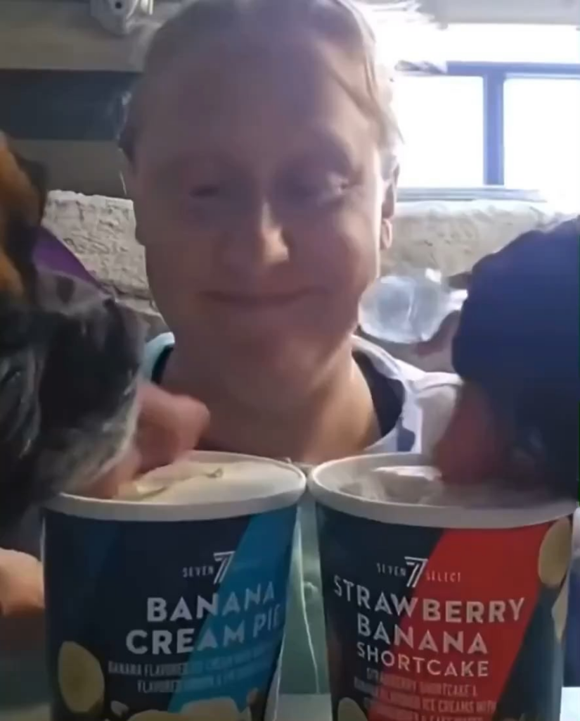 Absolutely gross, never eat strangers ice cream