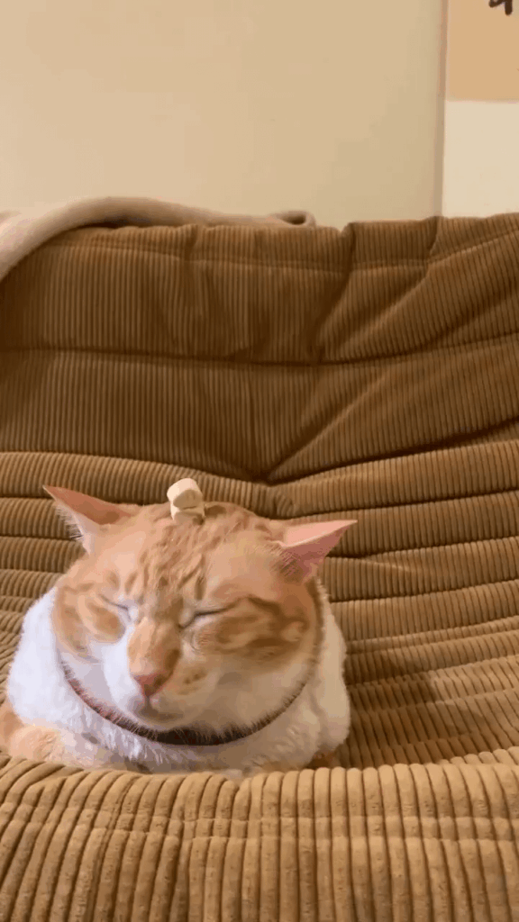 Waiter brought my food out and started stacking it directly on my brother's head. It's clean cause I just licked there, but come on!