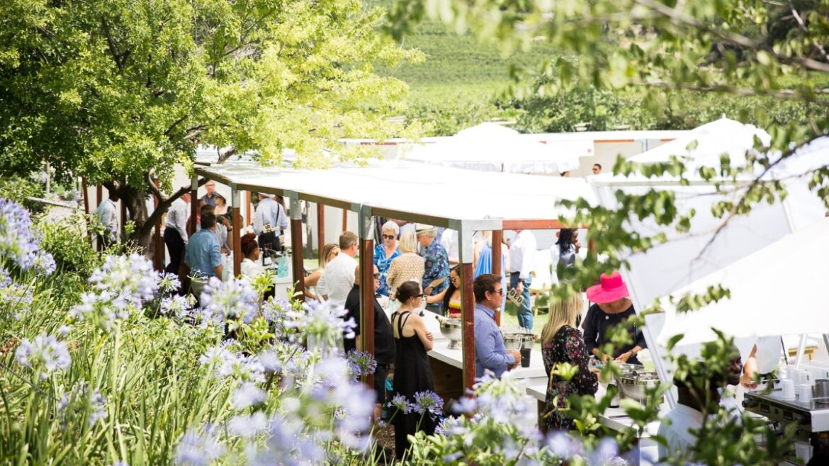 Nederburg to become the new host of the Cape Wine Auction