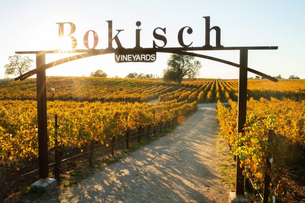 Perched on Lodi's Atkins Road overlooking rows of vineyards, Bokisch Vineyards boasts some of the best sunsets in town. (Courtesy of Bokisch Vineyards)