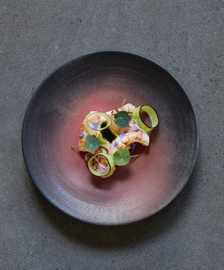 Seared scampi and scallops with charred leek, cultured cream and dill oil sitting on charcoal plate garnished with small purple flowers.