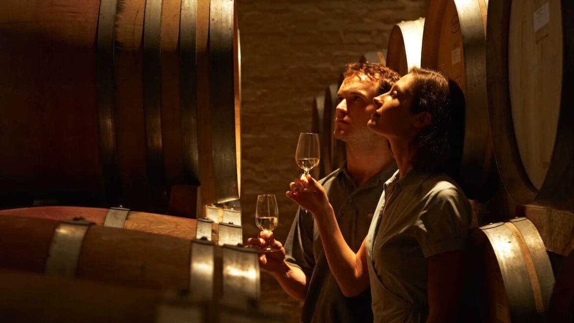 Weekend Wine Guide: Old vines have aged like fine wine in the latest 2024 vintage releases