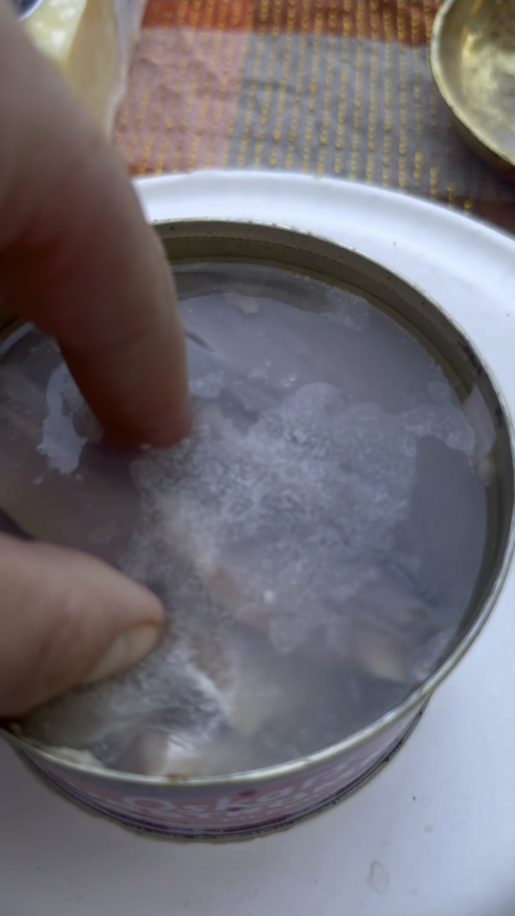 Moar Surstromming plz