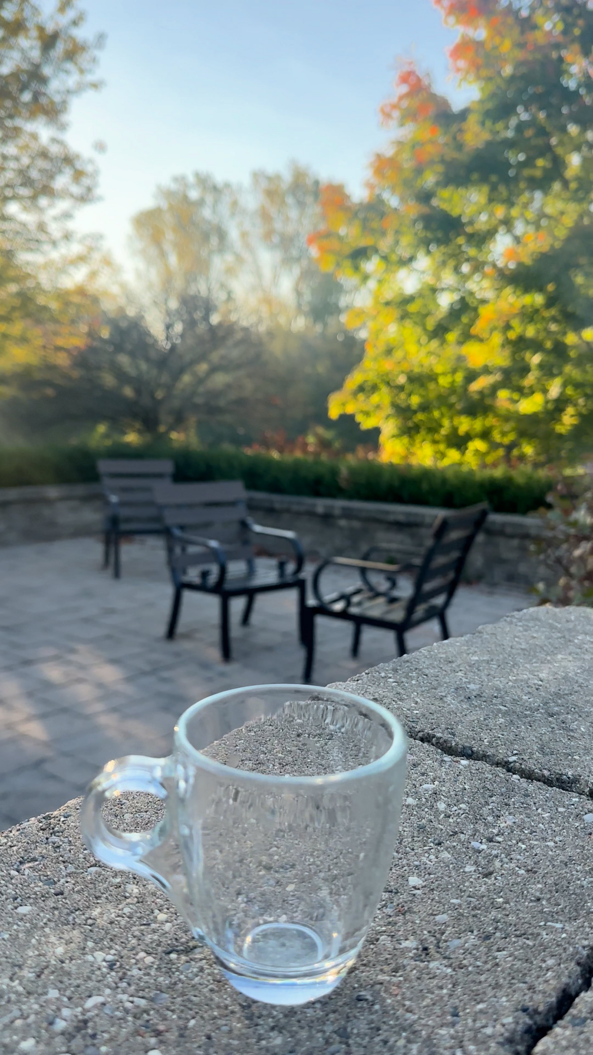 Diner Style Malted Protein Milkshake- 175 cal 30.5 g protein