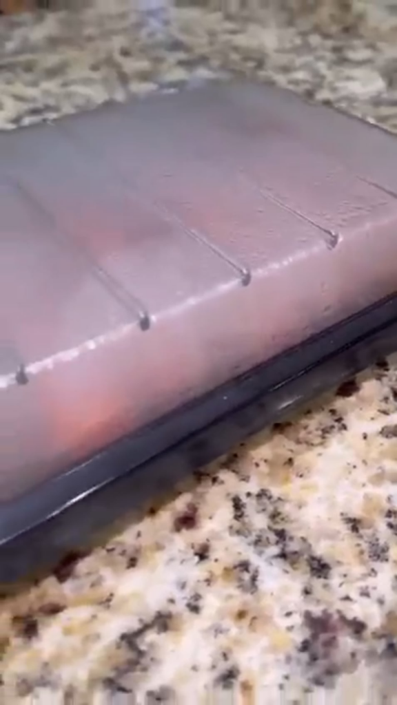 1970s Hot Dog electrocuter