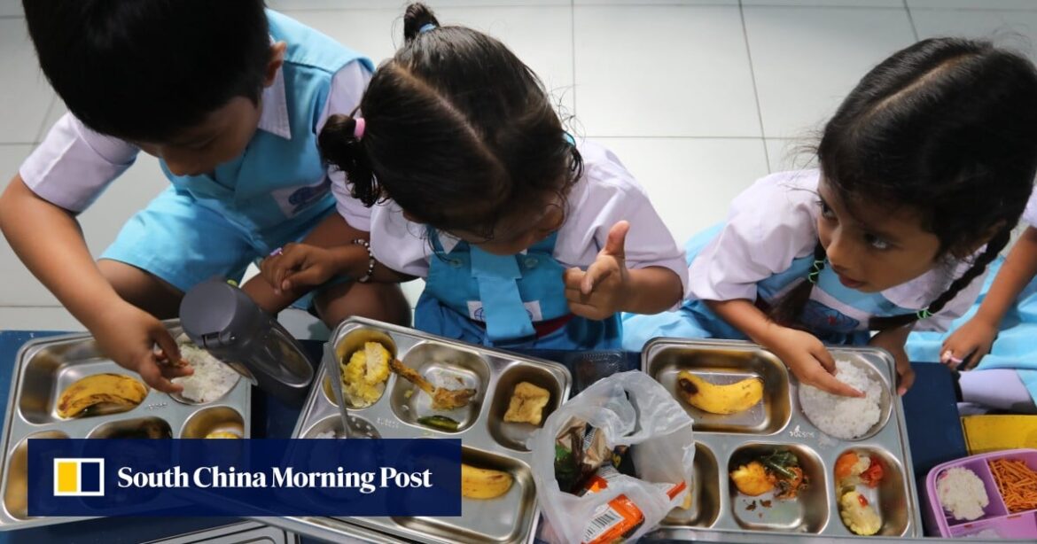 Indonesian free meals programme attracts biting criticism over fried shark