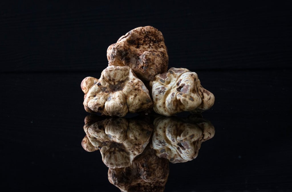 Truffles are one of the most highly prized raw ingredients. Photo: Da Vittorio Saigon