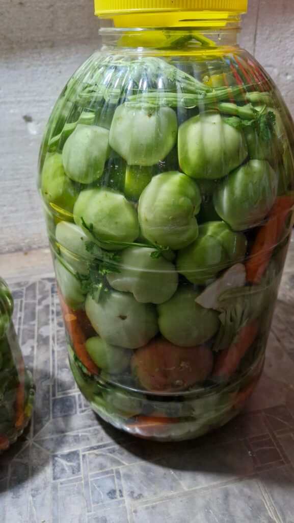 I put the rest of the tomatoes in a jar and made pickles.