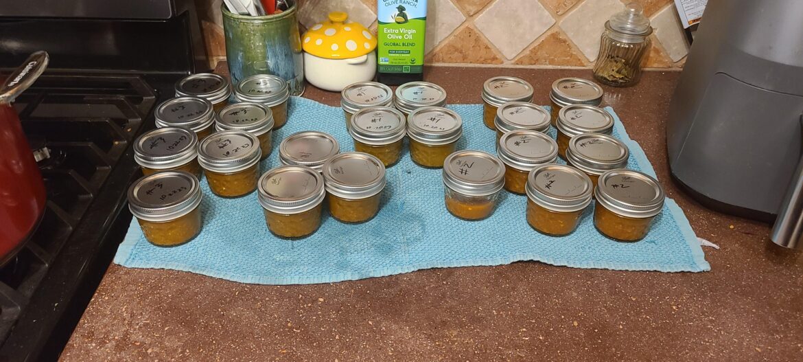 First 3 batches of hot sauce ready and canned