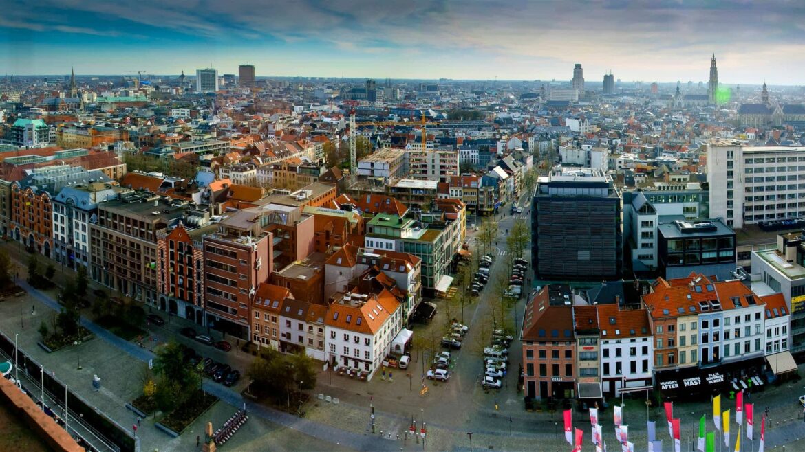 Regulators Investigate After Newspaper Identifies Olive Oil Fraud in Belgium Olive Oil Times