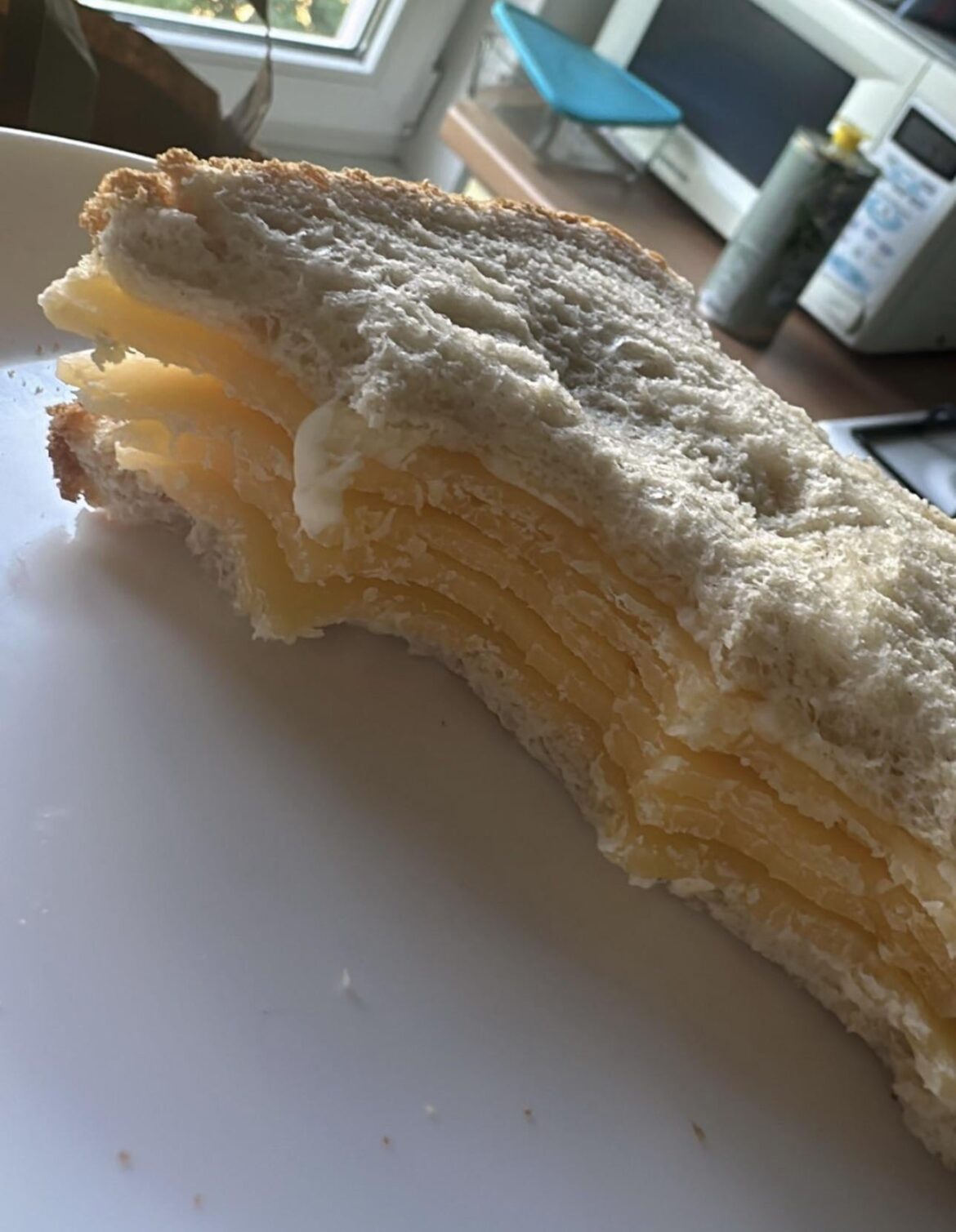 My boyfriend’s cheese sandwich
