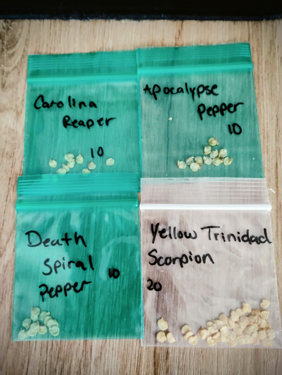 Dropped the babies in their soil