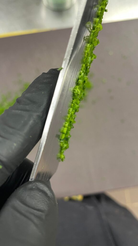 Cutting a cup of chives everyday until the Reddit says they’re perfect