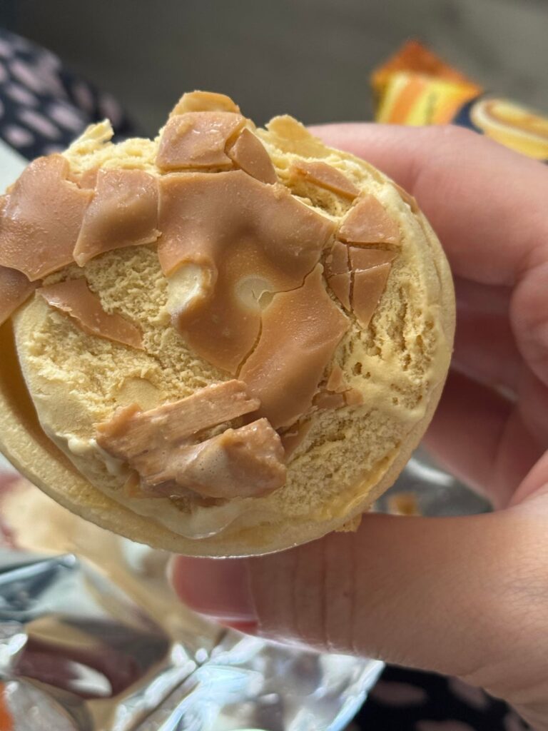 Found wood in my Dadu caramel ice cream :/