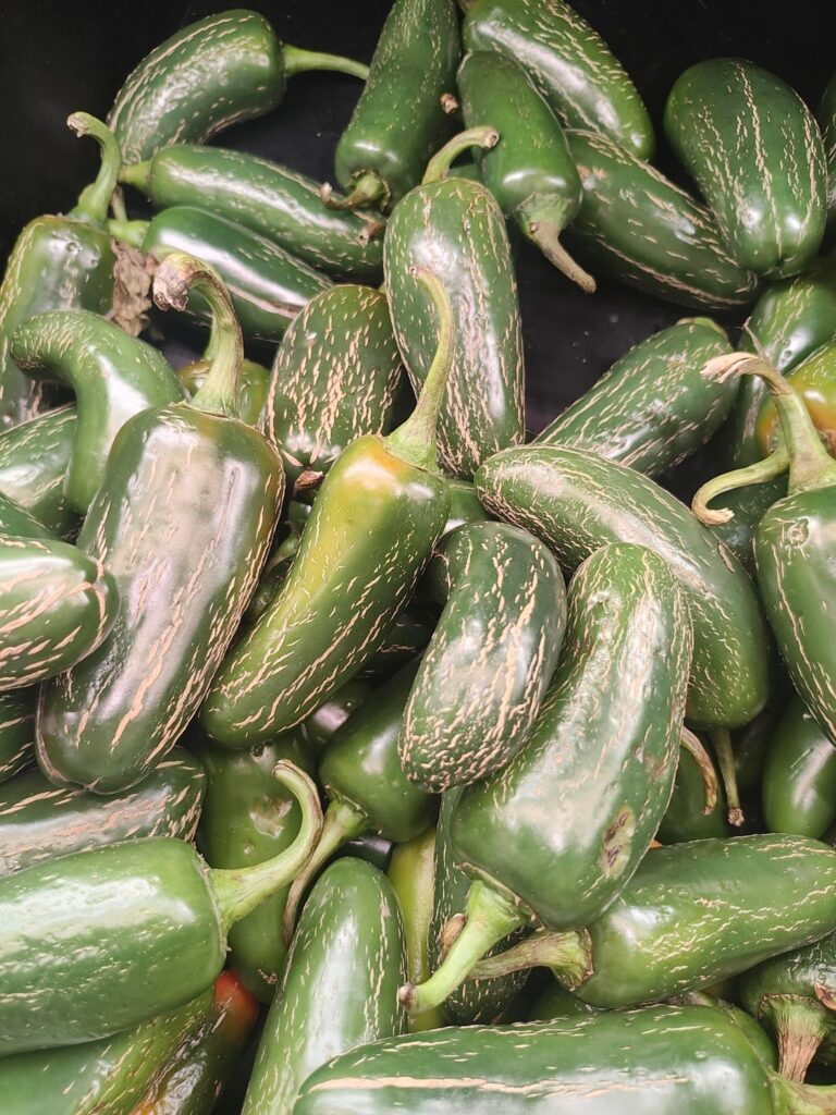 Jalapenos at the local store...