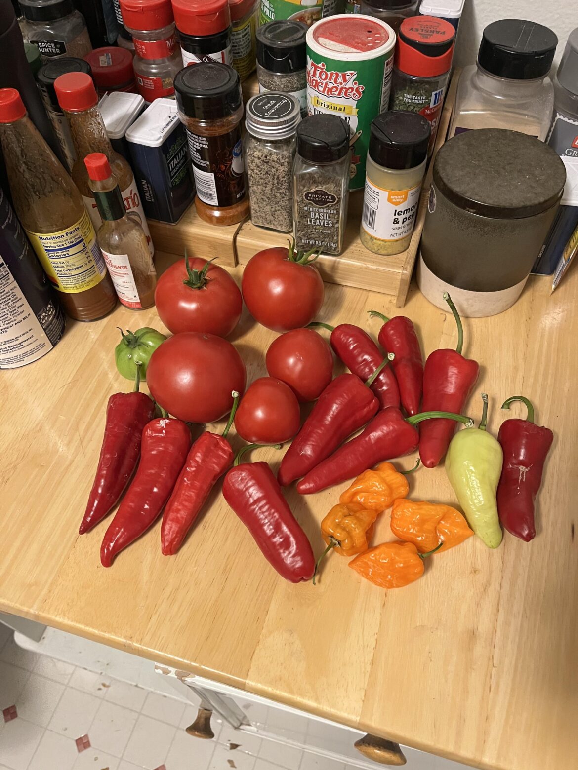 Recipe recommendations - what kind of salsas can I make with these ingredients?