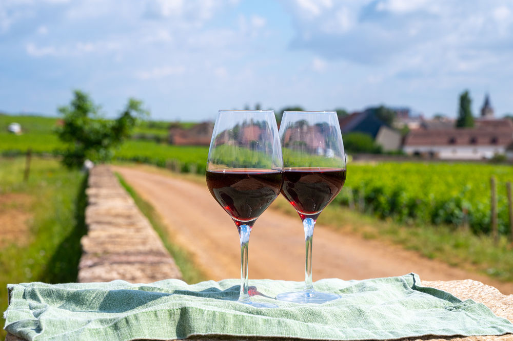 wine in vineyard in France