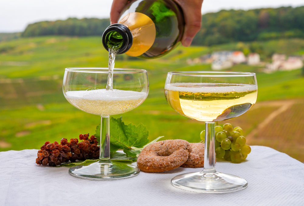 Champagne or wine tasting in France