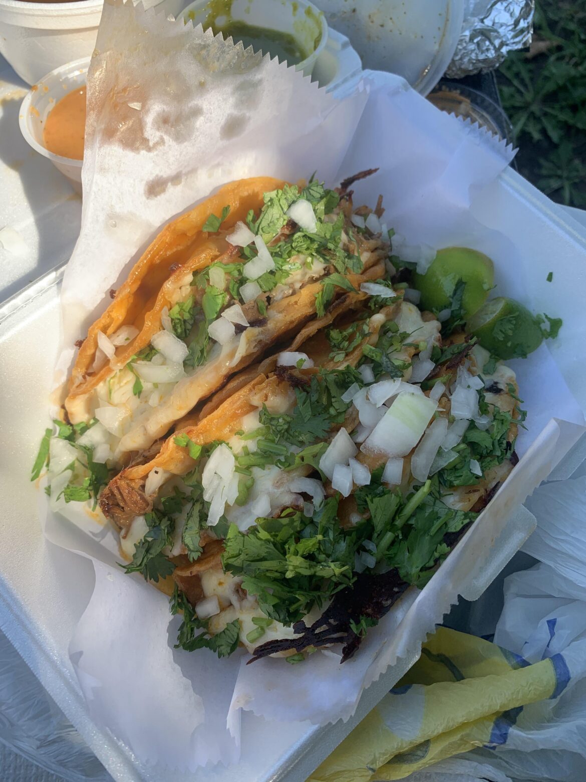 My first meal in Chicago was quesabirria at Quesabirria Jalisco Tacos thanks to this sub. It’s been a week and I couldn’t stop thinking about them so I went back tonight.