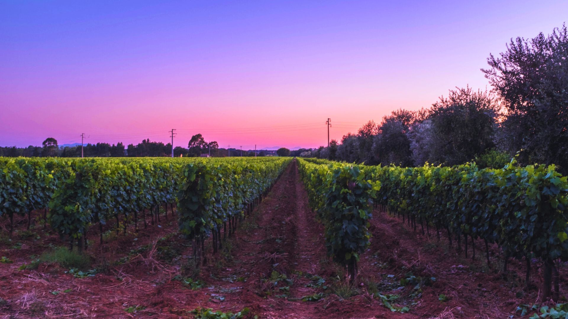 Tuscany wine tasting 