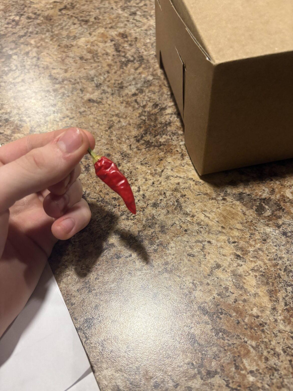 What kind of pepper is this