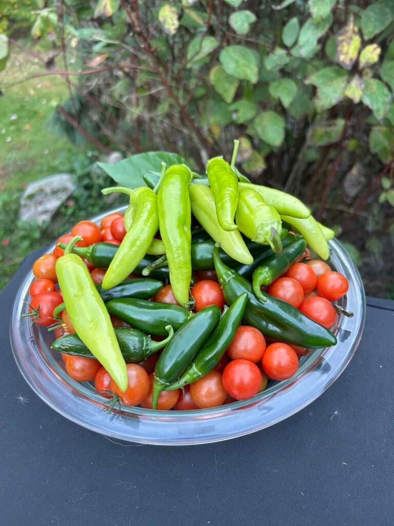 Think this is it….