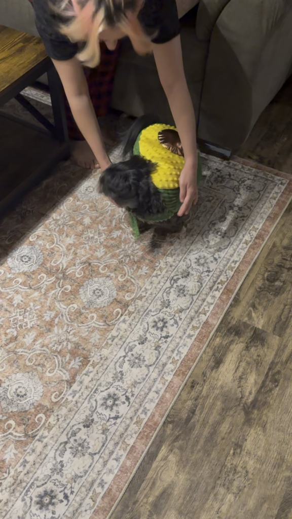 Daisy is an avocado now. Happy Halloween!