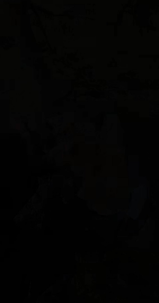 Overcooked Steak pizza? No thanks