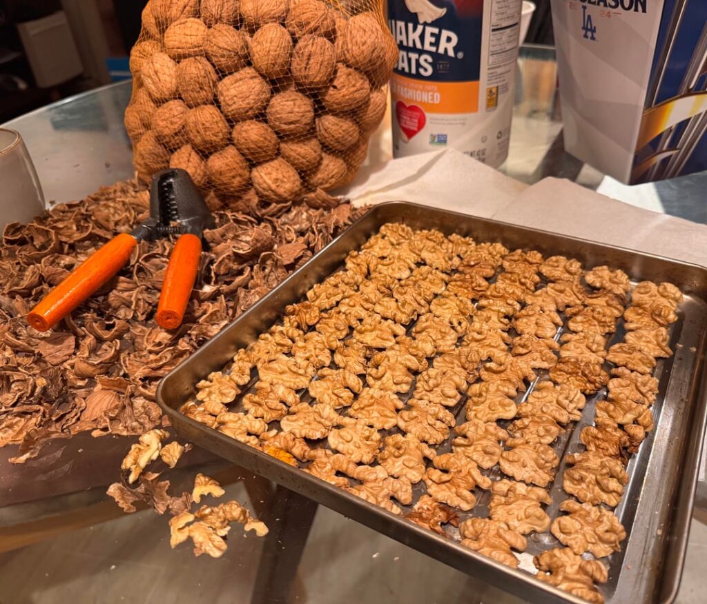 41 walnuts In line to be toasted [homemade]
