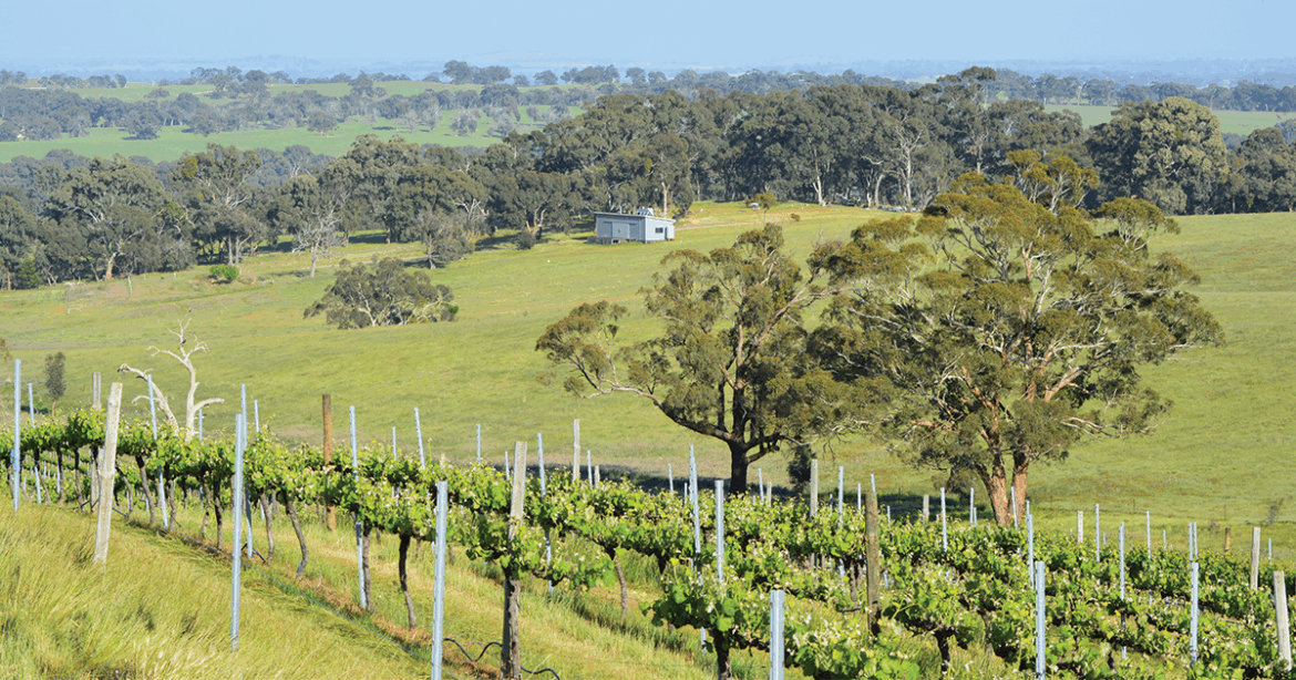 14 newly reviewed wines from Australia and New Zealand